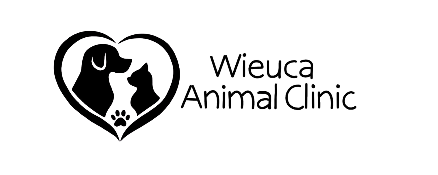 Wieuca Animal Clinic